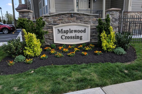 IMG_20180503_150517 IMG_20180503_150517